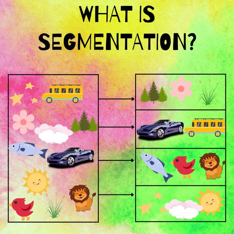 segmentation
